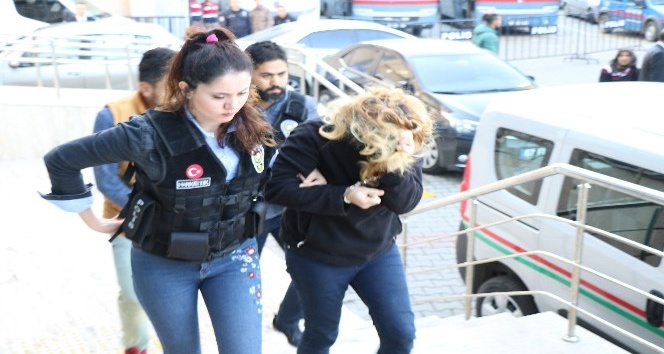 Zonguldak’ta bonzai operasyonu; 2 gözaltı