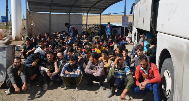 Otobüsten 181 kaçak göçmen çıktı