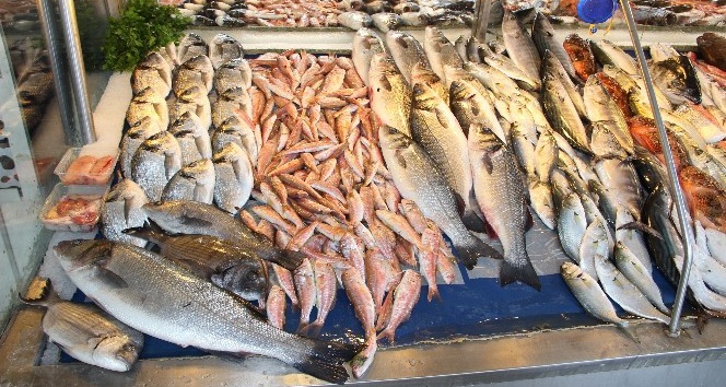 İspanya’da Türk balığına yoğun ilgi