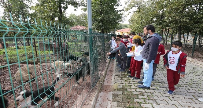 Minik öğrencilerden Sokak Hayvanları Geçici Bakımevi’ne ziyaret