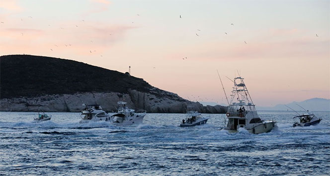 Avrupa’nın gözde balıkçılık turnuvası Alaçatı’da başlıyor