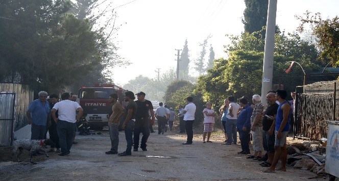 Antalya’da iki ev ve bahçe yandı