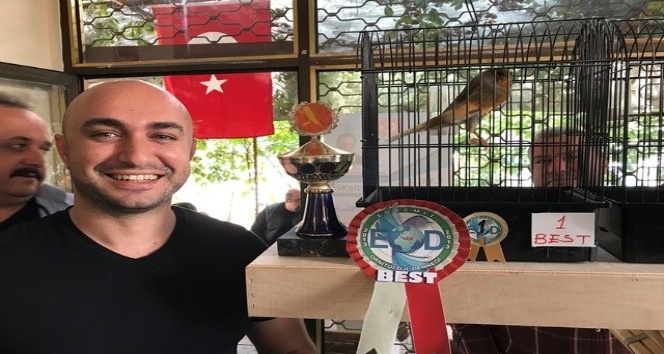 Edremit Ornitoloji Derneği kanarya yarışması ile sezonu açtı