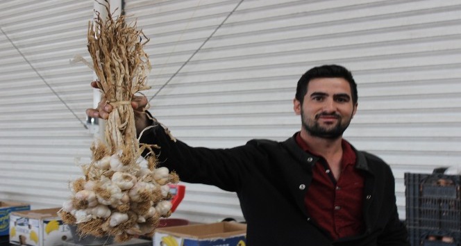 Kırşehir semt pazarının en pahalı sebzesi rekor fiyatla sarımsak oldu