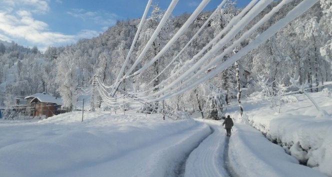 Doğu Karadeniz’de elektrik nakil hatlarında buzlanma ve kar yükünden ötürü artık elektrik kesintisi yaşanmayacak