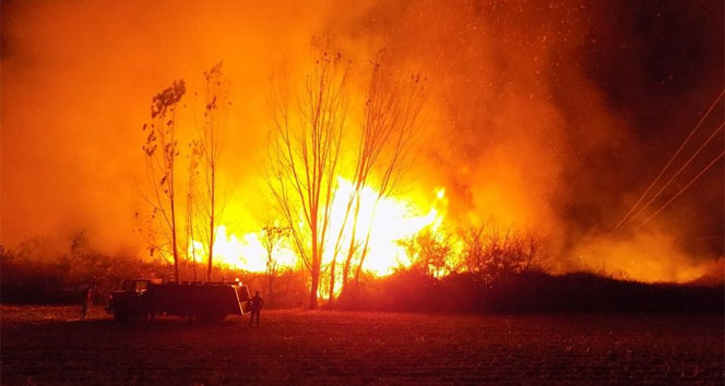 Geceyi alevler aydınlattı, Karpuzlu’da arazi yangını