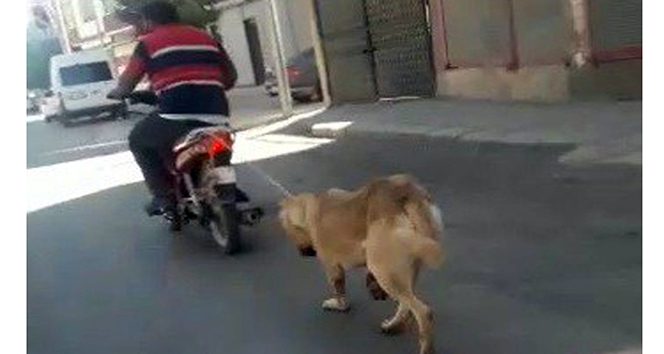Köpeğin boğazına ip geçirip motosikletle sürükledi