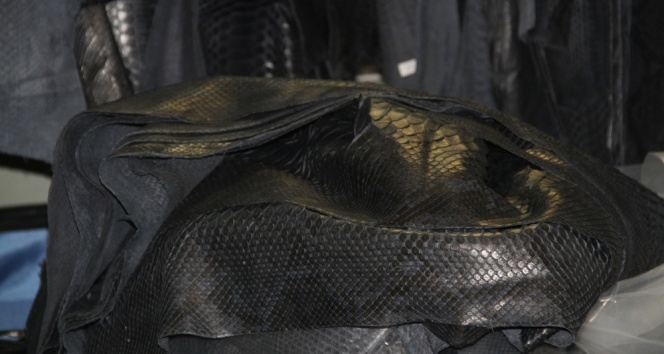 Atatürk Havalimanı’da yılan ve timsah derisi yakalandı