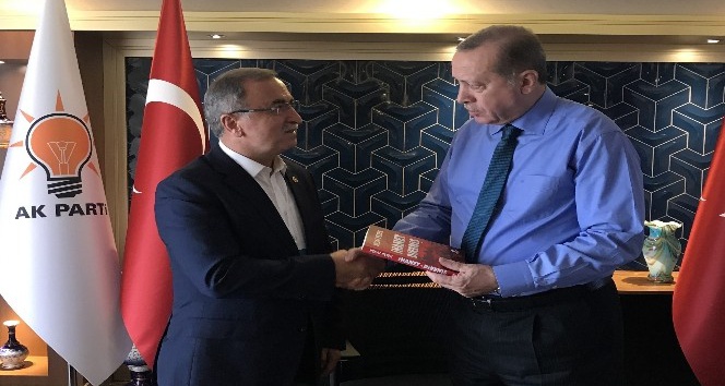 Petek’ten Cumhurbaşkanı Erdoğan’a kitap takdimi