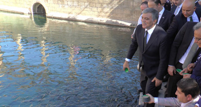 Abdullah Gül Balıklıgöl&#039;de balıklara yem attı
