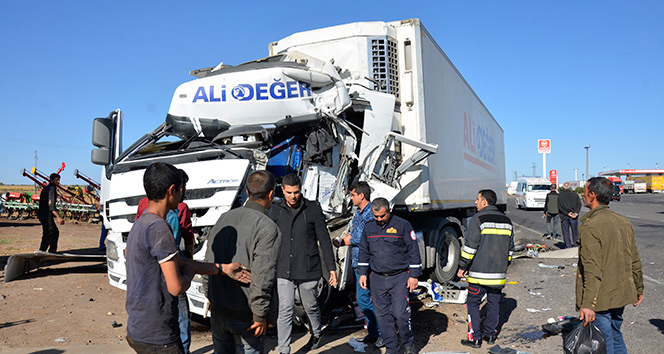 Şanlıurfa&#039;da tır kamyona çarptı: 1 yaralı