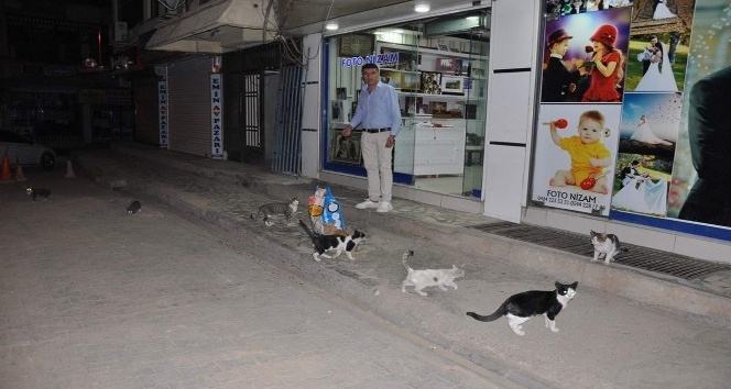 Siirt’te sokak hayvanları unutulmadı