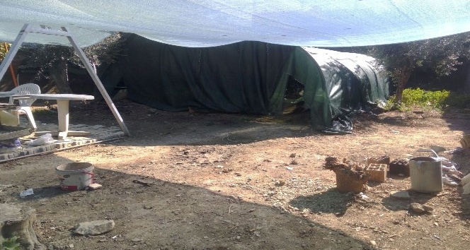 Çadır içinde define kazısı ile ilgili 5 kişi daha gözaltına alındı