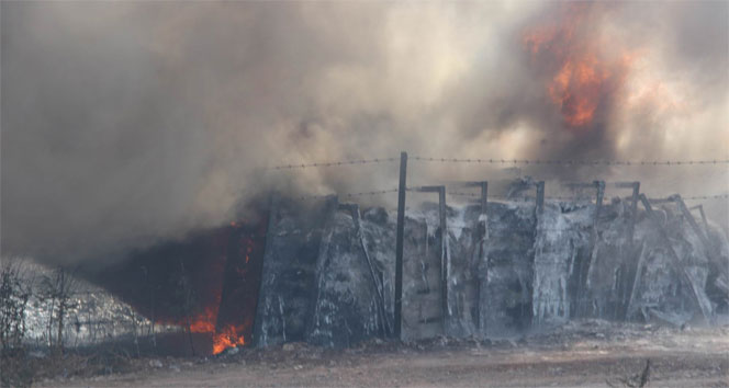 Sivas&#039;ta ot yangını paniğe sebep oldu