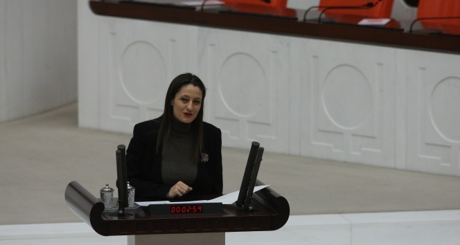 Şafak Pavey'in milletvekilliği düşürüldü