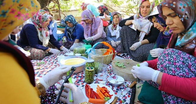 Osmaniye’de kadınlara zeytin işleme kursu