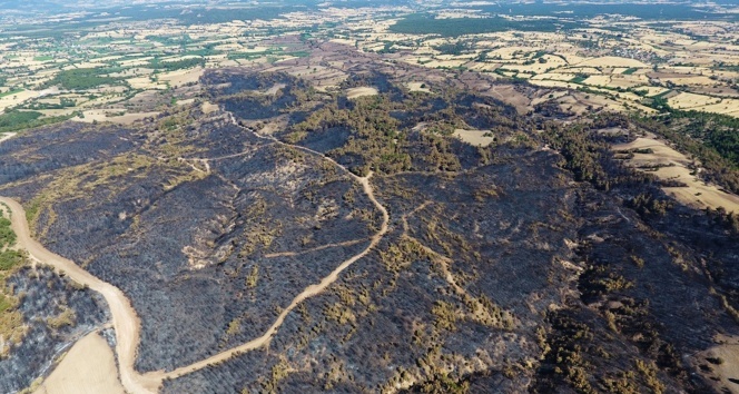 Çanakkale’de yanan orman alanları ilk kez drone ile görüntülendi
