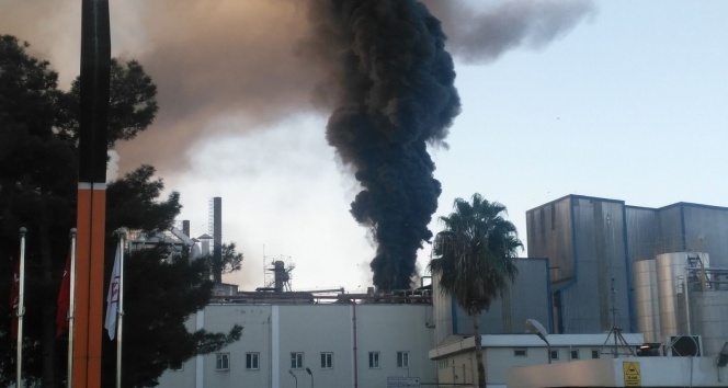 Adana&#039;da yağ fabrikasında yangın
