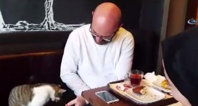 Taksim&#039;de kahvaltı yapan çift yanlarında oturan kediyi eliyle besledi
