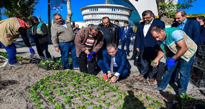 Başkan Çakır, işçilerle birlikte çiçek dikti