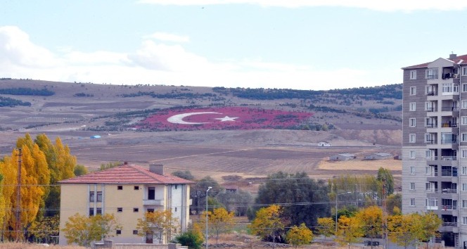 20 bin taş kullanılarak Türk Bayrağı yapıldı