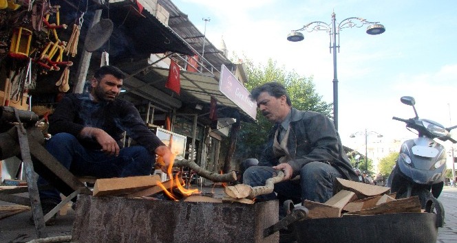 (Mzel haber) Zeytin toplamada geleneksel yöntem ’sırık’