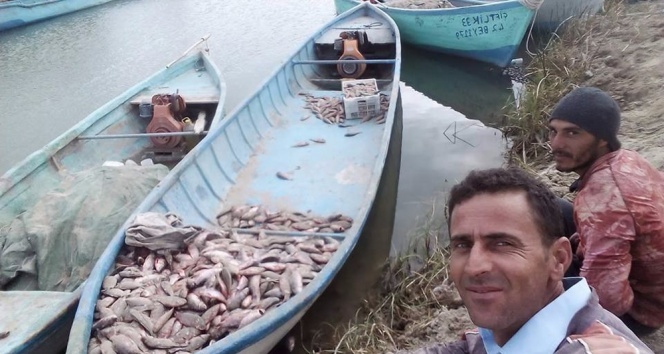 Çin sazanı balıkçıların korkulu rüyası oldu