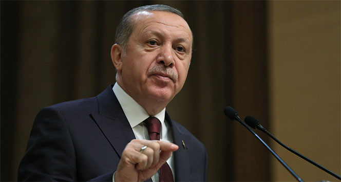 Cumhurbaşkanı Erdoğan, Başkan Tuna görüşmesi