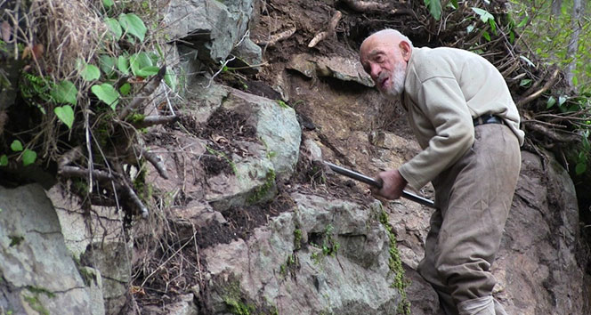 Artvin&#039;in 97 yaşındaki dedesi hâlâ kayalara tırmanıyor!