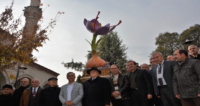 Safranbolu’da safran bitkisi heykeli açıldı