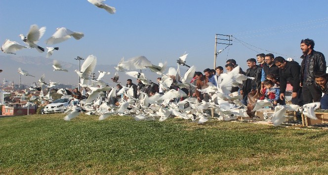 500 güvercin dostluk ve barış için uçuruldu