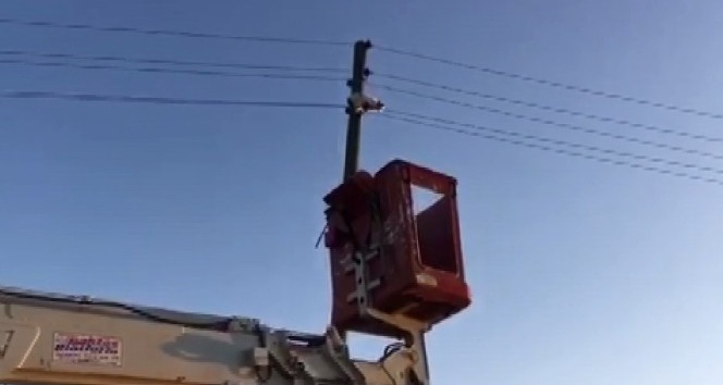 Yaramaz kedi yanmaktan son anda  kurtuldu