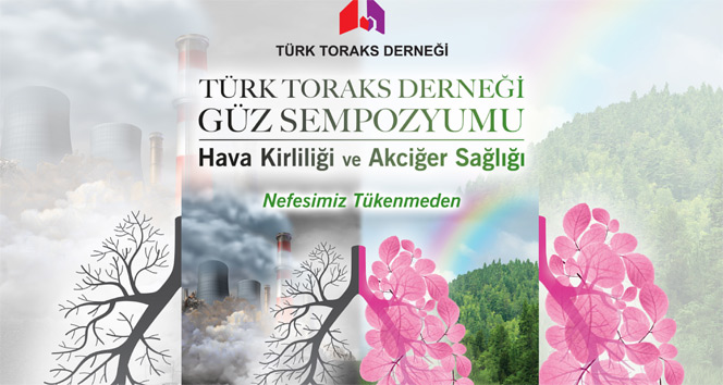 Hava kirliliği İstanbul&#039;da tartışılacak