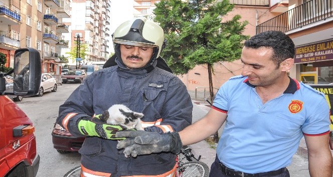 Hayvanların cankurtaranı Ankara İtfaiyesi