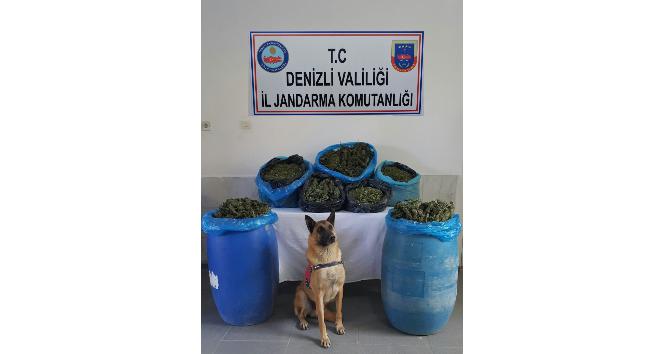 Denizli’de uyuşturucu operasyonu: 2 gözaltı