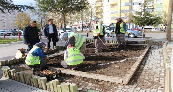 Seydişehir Belediyesi lale, sümbül ve nergis soğan ekimi yaptı