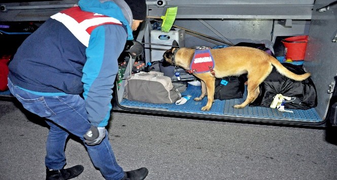 Jandarmadan narkotik ve bomba arama köpekli asayiş uygulaması
