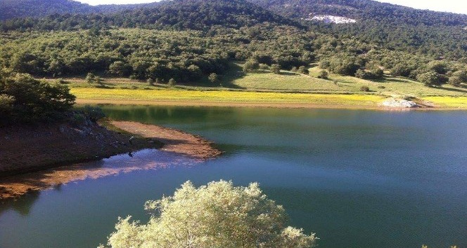 Dumlupınar’da sonbahar güzelliği