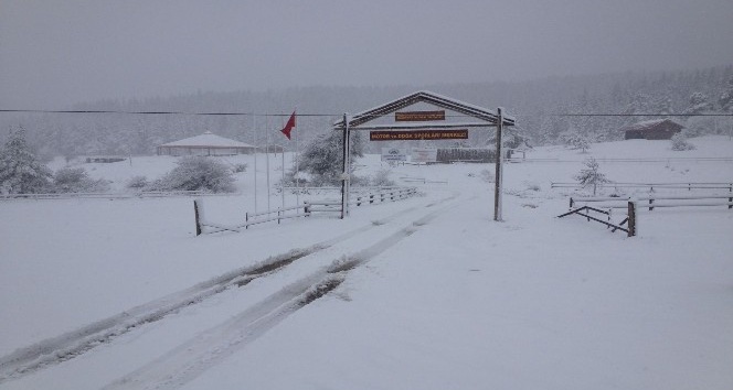 Kastamonu’da etkili olan kar yağışı elektrik tellerini kopardı