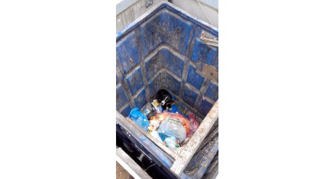 (Özel haber) Yiyecek arayan köpek yer altı çöp konteynerinin içine düştü