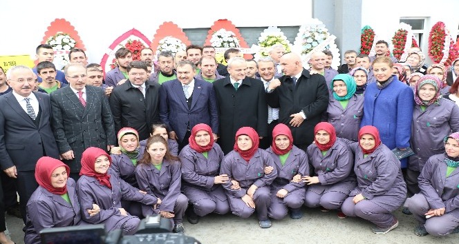 Bakan Eroğlu defne yaprağı fabrikasının açılışını yaptı