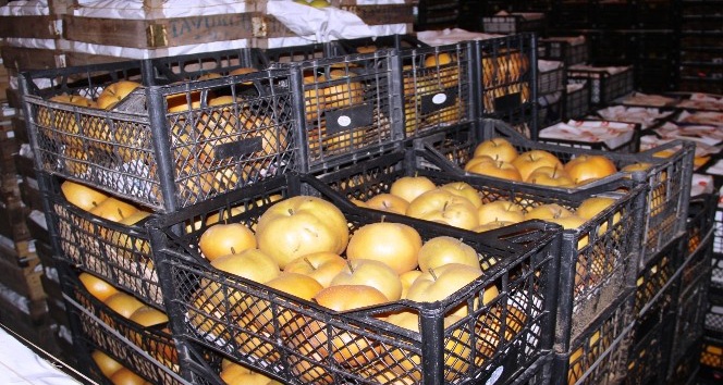 Çanakkale’de pazar tezgahlarını Japon armudu süslüyor