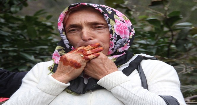 Kuşdili UNESCO’yla dünya mirası olacak
