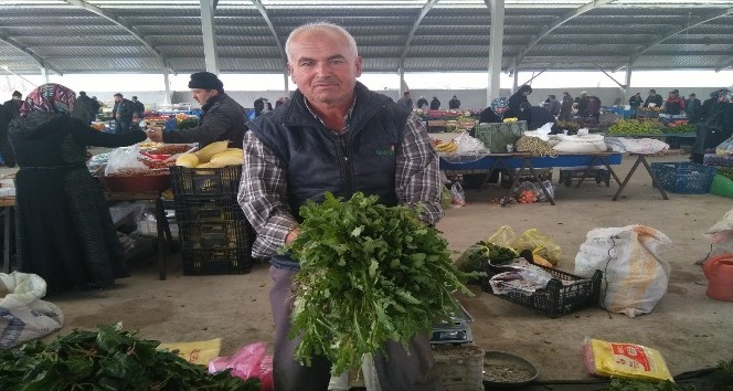 Alternatif yeşillik, taze haşhaş otu