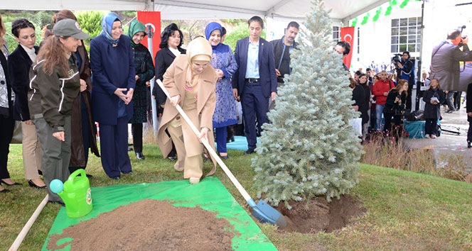 Emine Erdoğan öğrencilerle fidan dikti