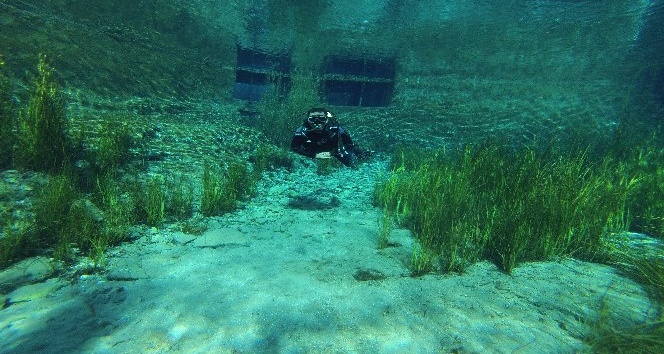 (Özel haber) Sakaryabaşı tatlı su dalışlarında zirveye oynuyor