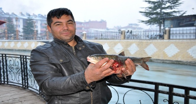 Ceyhan Nehri’nde toplu balık ölümleri yaşandı