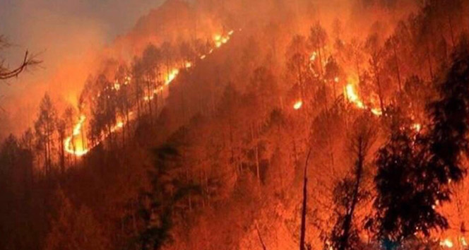 Silivri&#039;de korkutan anız yangını