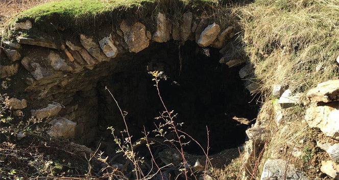 Bitlis'te terör operasyonu| Bitlis haberleri