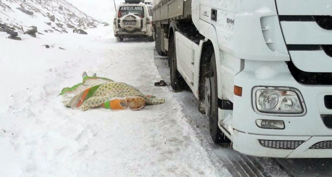 Kar ve tipi dolayısıyla kapanan yolda sürücü kalp krizi geçirerek öldü